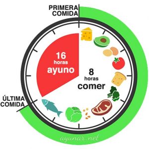 Ayuno intermitente 16/8