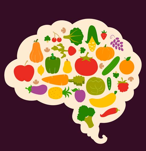 Efectos del ayuno intermitente sobre el cerebro y la cognición Efectos del ayuno intermitente sobre el cerebro y la cognición
